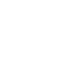 Substance Painter logo